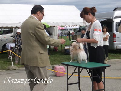 2011.09.20-2.jpg