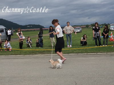 2011.09.20-3.jpg