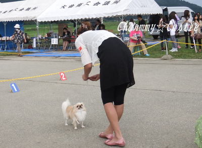 2011.09.20-4.jpg