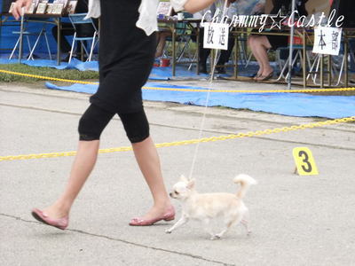 2011.09.20-7.jpg