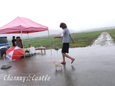 2011.09.21-2.jpg