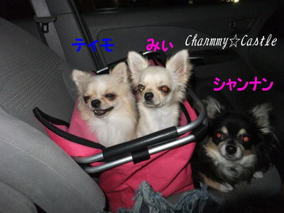 2011.09.23-1.jpg