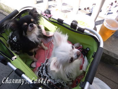 2011.09.25-2.jpg