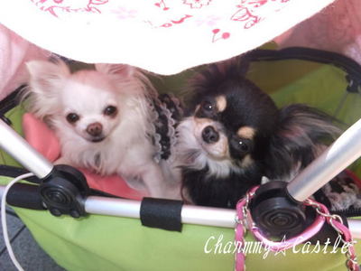 2011.09.25-6.jpg