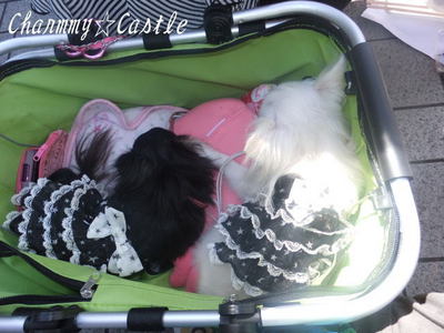 2011.09.25-7.jpg