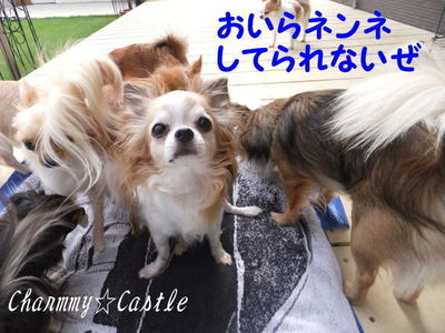 2011.09.26-2.jpg