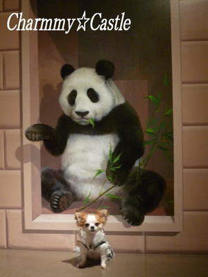 2011.10.28-2.jpg