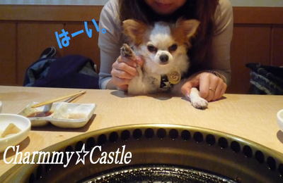 2011.10.28-6.jpg