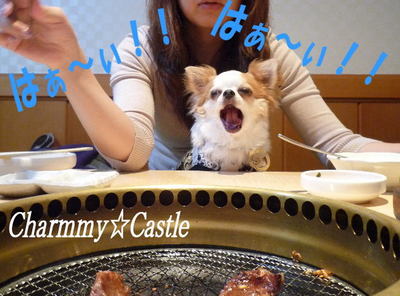 2011.10.28-7.jpg