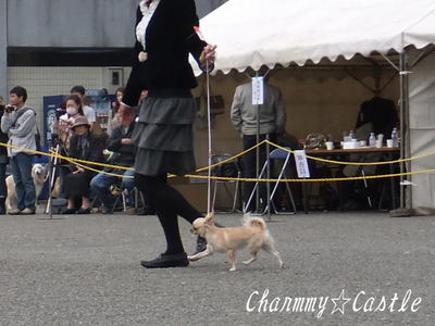 2011.10.30-3.jpg