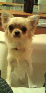 20110817200559.jpg