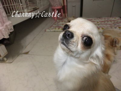 2012.01.06-1.jpg