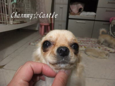 2012.01.06-3.jpg