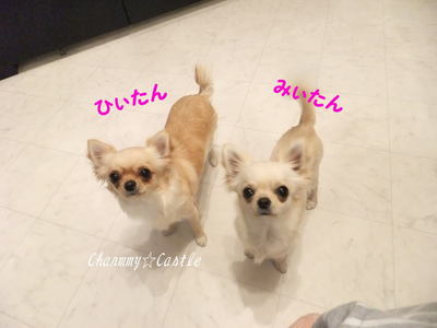 2012.01.08-1.jpg