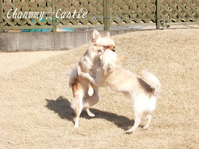 2012.01.08-5.jpg