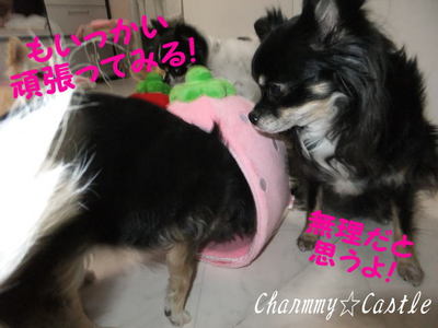 2012.01.09-6.jpg