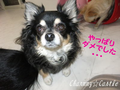 2012.01.09-7.jpg