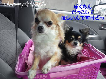 2012.01.21-1.jpg
