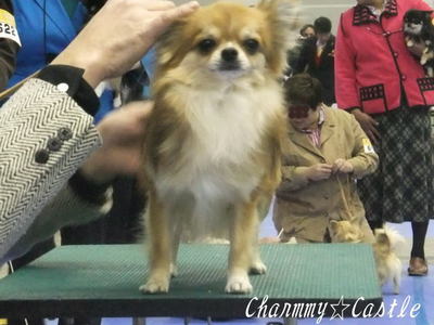 2012.01.29-1.jpg