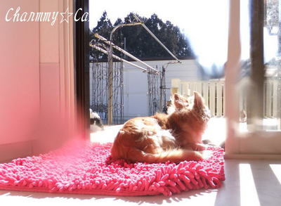 2012.02.05-1.jpg