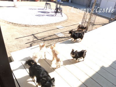 2012.02.05-2.jpg