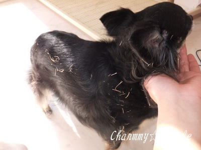 2012.02.05-6.jpg