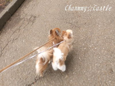 2012.03.07-1.jpg