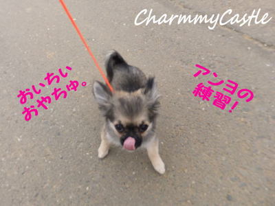 2012.07.01-1.jpg