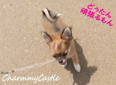 2012.07.02-4.jpg
