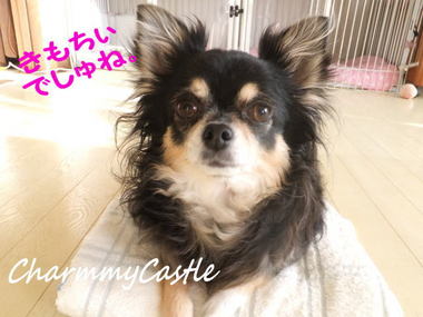 2012.07.08-5.jpg