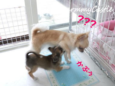 2012.07.20-1.jpg