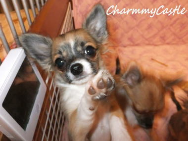 2012.07.25-2.jpg