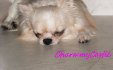2012.08.29-2.jpg