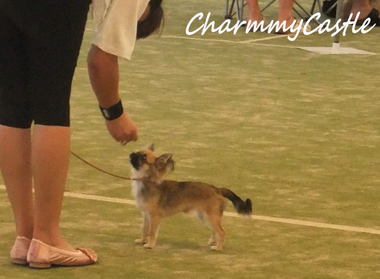 2012.09.08-1.jpg
