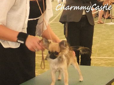 2012.09.08-3.jpg