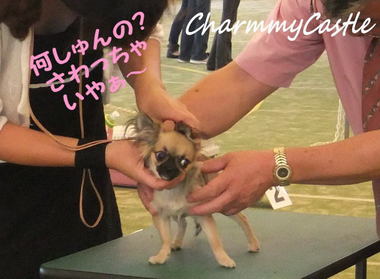 2012.09.08-5.jpg