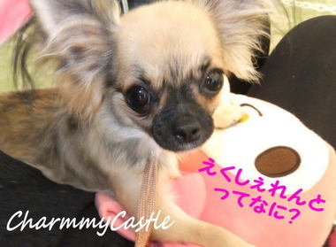 2012.09.08-7.jpg