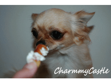 2012.11.12.gif